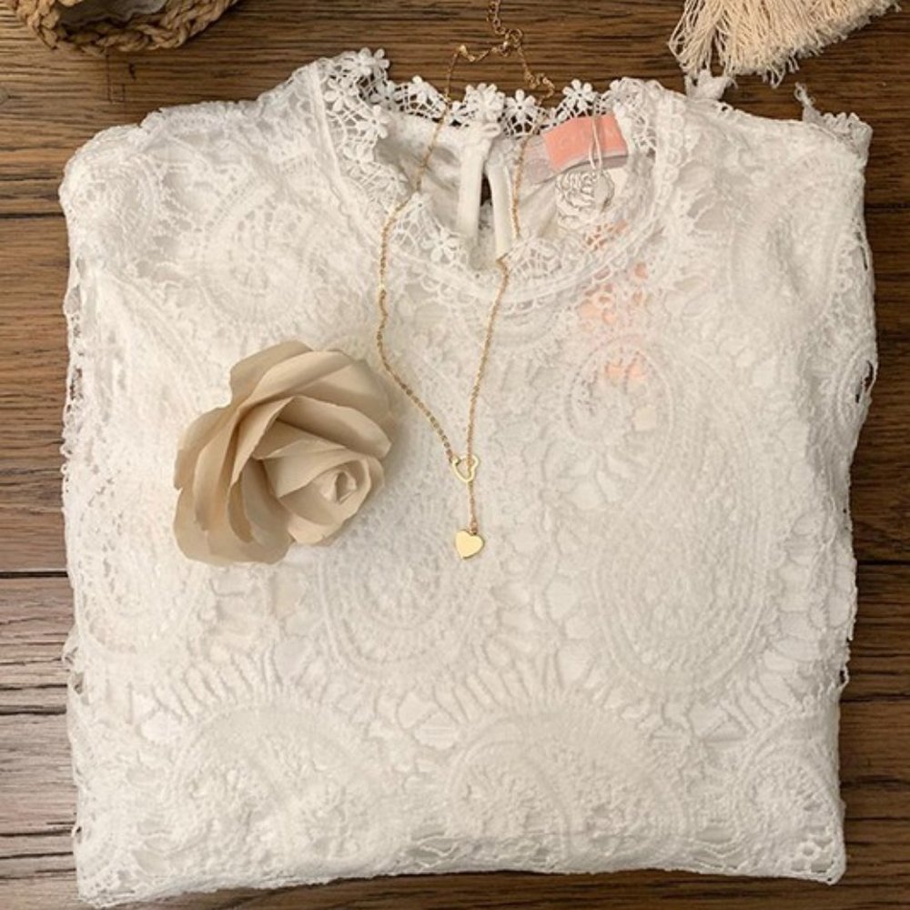 Sheer Lace Mock Neckline Long Sleeve Top - Picture 5 of 5